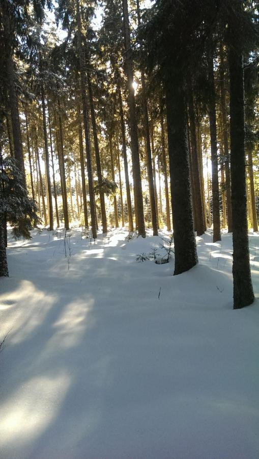 Schwarzwald Geht Immer Fewo 60 Qm Mit Grossem Suedbalkon, Wlan Und Magenta Tv Schönwalde Eksteriør bilde